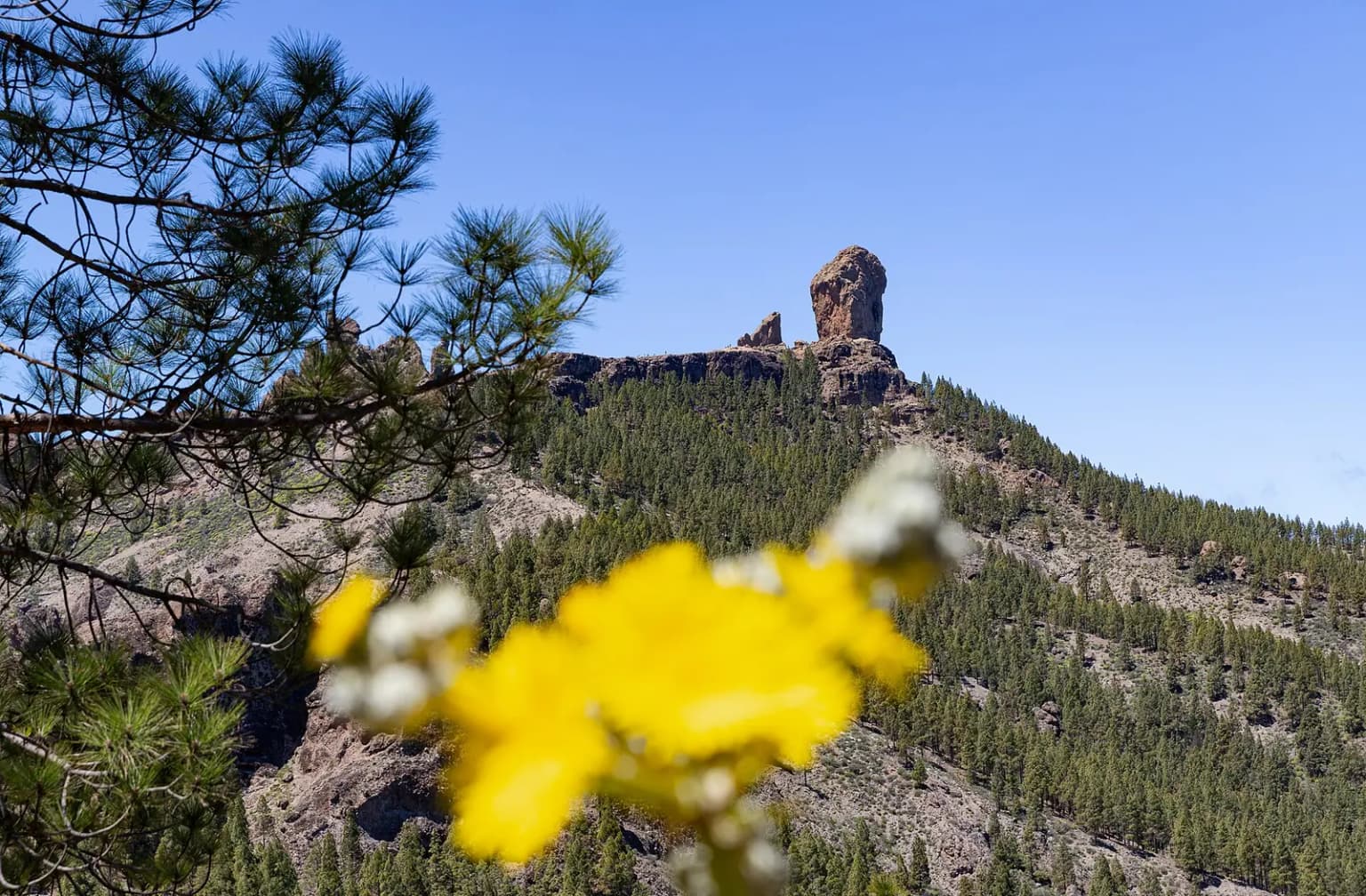 Tejeda: Roque Nublo, mandeltræer og vandreture, Gran Canaria