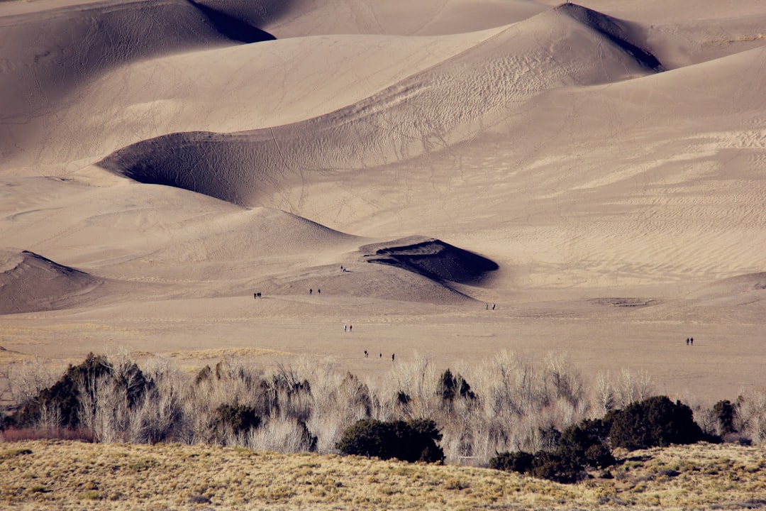 Dunas de Maspalomas